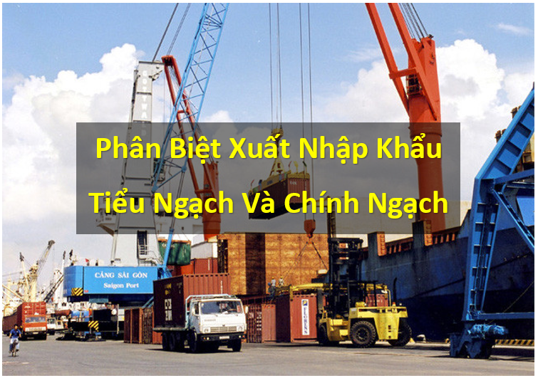 XNK chính ngạch và tiểu ngạch là gì 